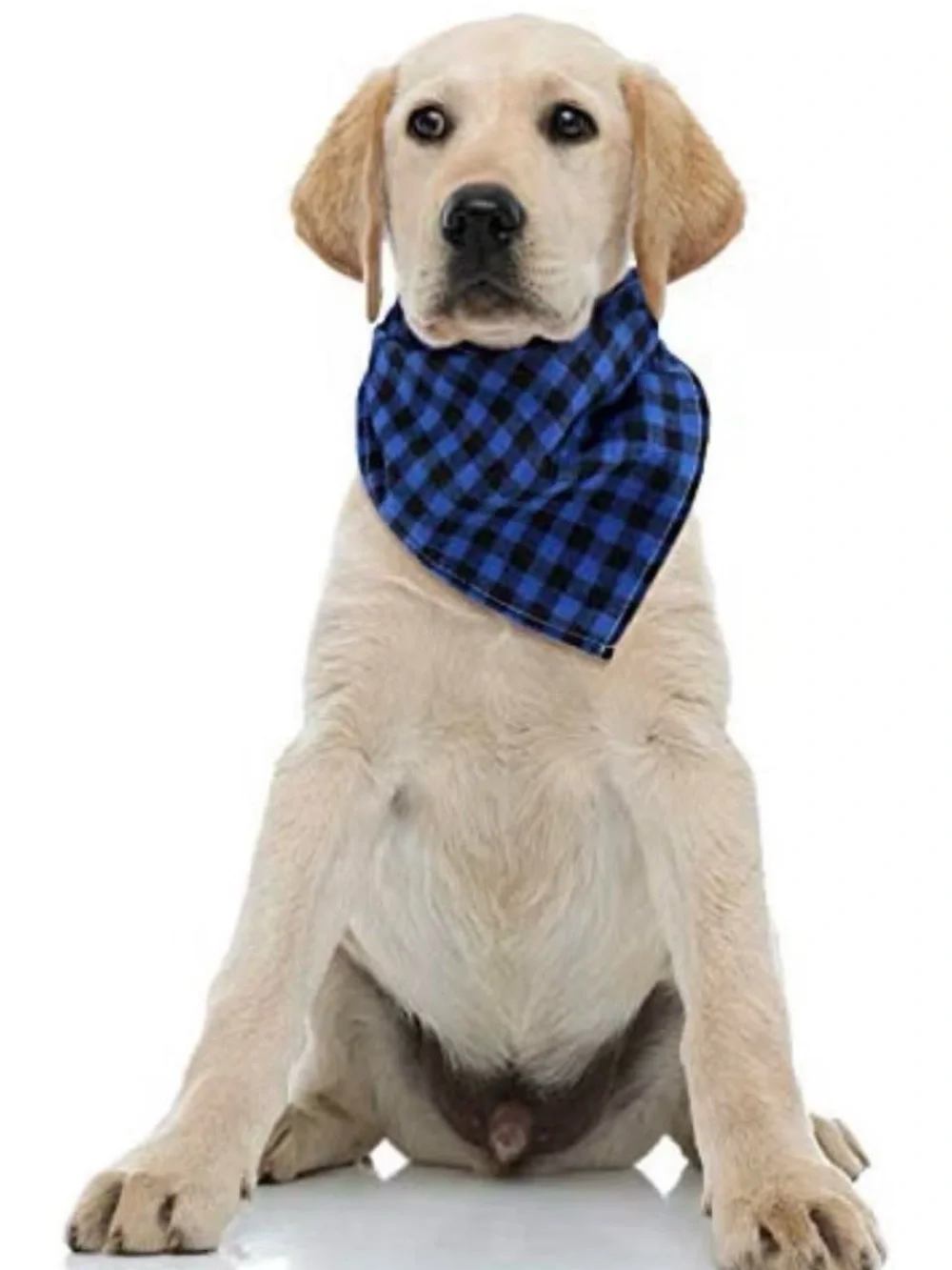 N/A classic plaid